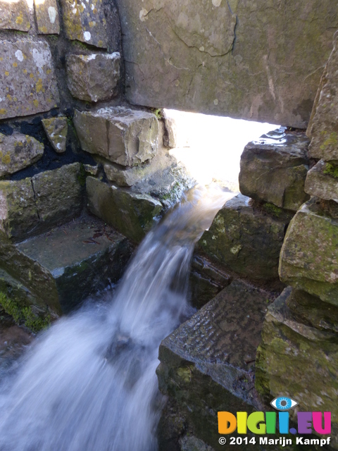 FZ001461 Overflowing steps and style